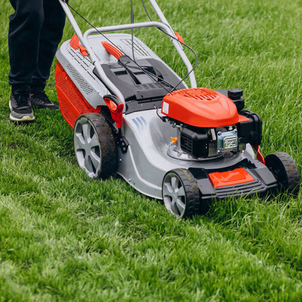 Grass Trimmer