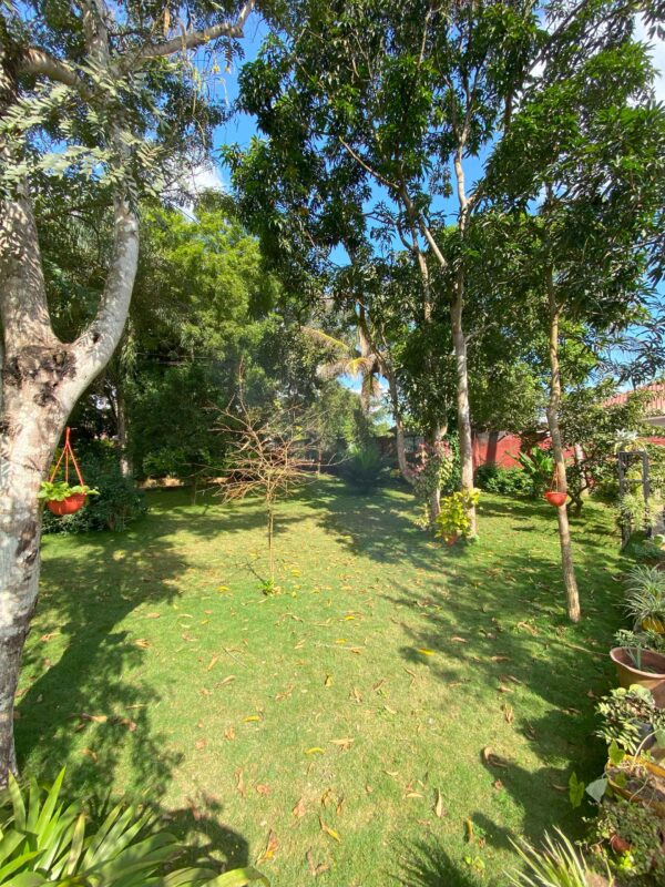 Mwasonga Home - Image 5